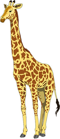 giraffe