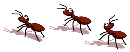 three ants