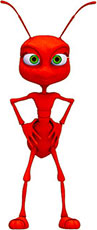 red ant