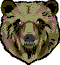 bear face image