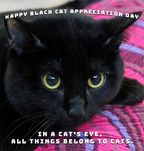 Free National Black Cat Appreciation Day Clipart Animations Happy