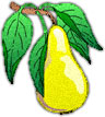 pear with leaves jpg image