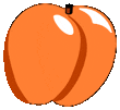 apricot clipart