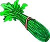 celery clipart image