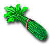 celery graphic image
