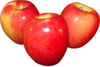 3 jazz apples photo clipart image