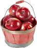 basket of red apples