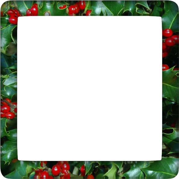 holly border with rounded corners