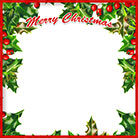 Merry Christmas holly frame