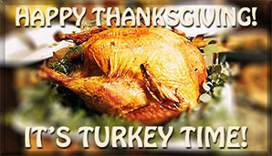 cooked turkey - It's Turkey Time