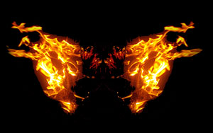 butterfly fire