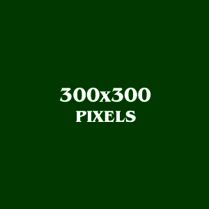 300x300 pixel image