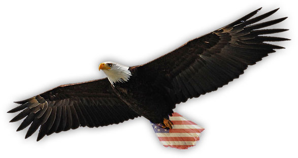 American Eagle