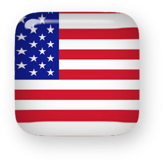 American Flag button