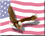 American Eagle in front of US flag - Clip Art