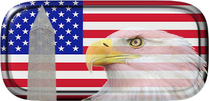 bald eagle ans washington monument on American flag