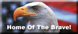 American Eagle clip art - home of the brave