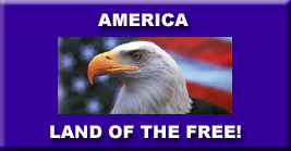 American Eagle clipart - land of the free