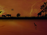 african wildlife scene