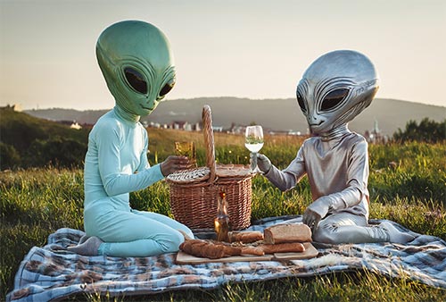 picnic