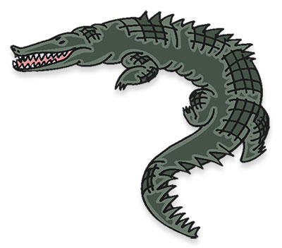 alligator