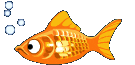 goldfish animation