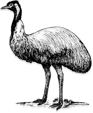 emu