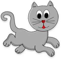 grey cat