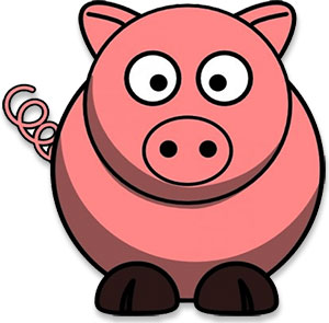 pig