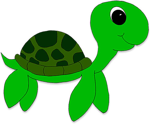 sea turtle