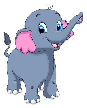 cute elephant