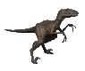 velociraptor dinosaur