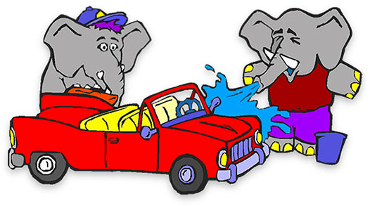 elephants washing a car