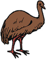 emu standing