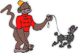monkey walking dog