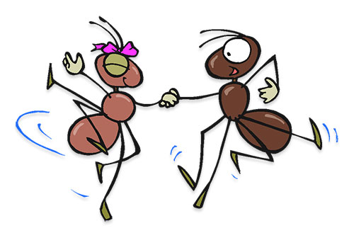 ant dance