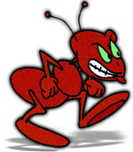 war ant