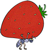 ant carrying a strawberry