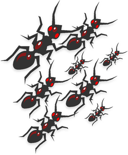 an army of ants