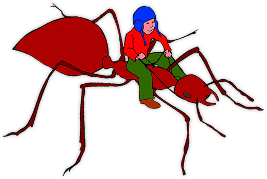 boy riding a large ant