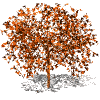 autumn tree animated