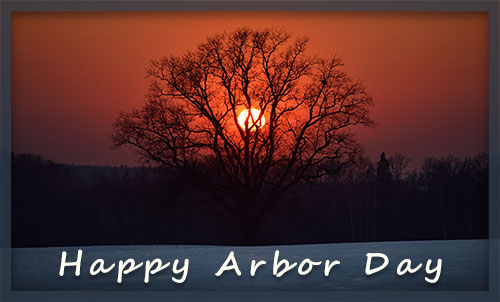 Happy Arbor Day