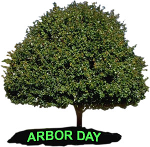 large tree with words Arbor Day
