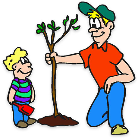 planting tree