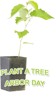 plant a tree for Arbor Day