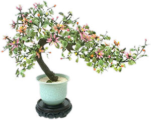 potted decorative tree