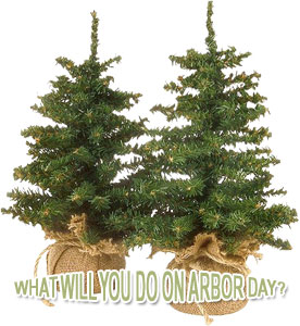 2 trees - what will you do on Arbor Day