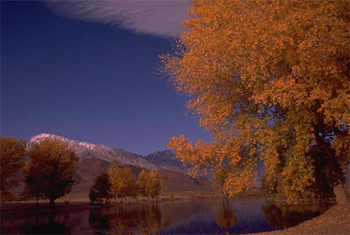 creek autumn