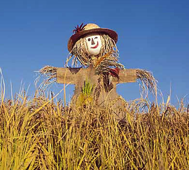 scarecrow