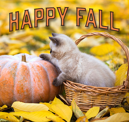 Happy Fall